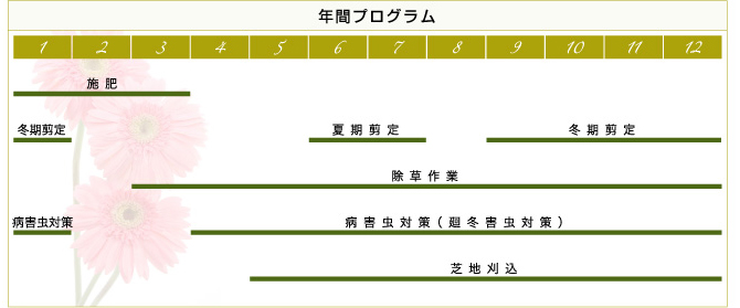 年間プログラム
